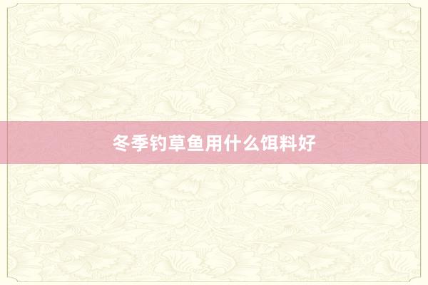 冬季钓草鱼用什么饵料好