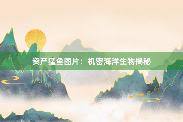 资产猛鱼图片：机密海洋生物揭秘